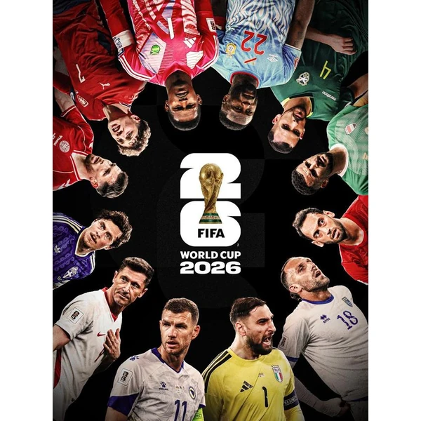 FIFA世界杯赛事画面